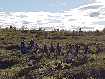 Postplukk på Gålå